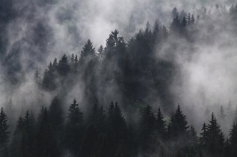 Enchanted Forest, Oregon